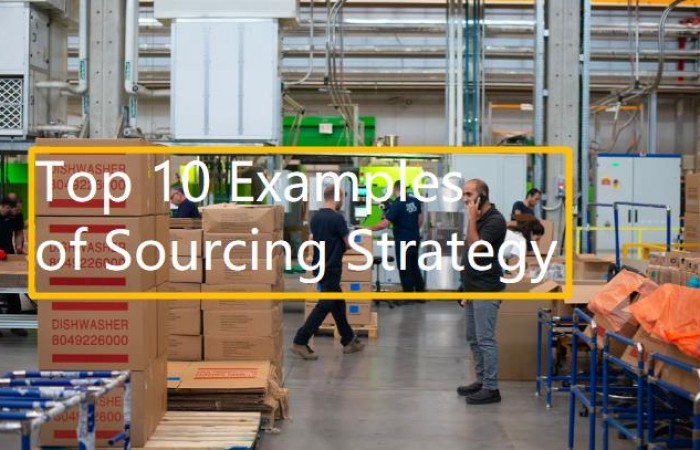 10 Example of Sourcing Strategy for Supply Chain