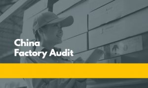 China factory audit
