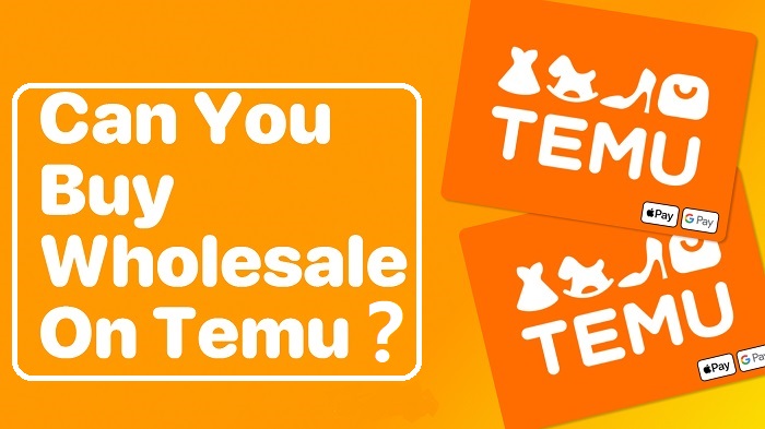 TEMU WHOLESALE visual data 4